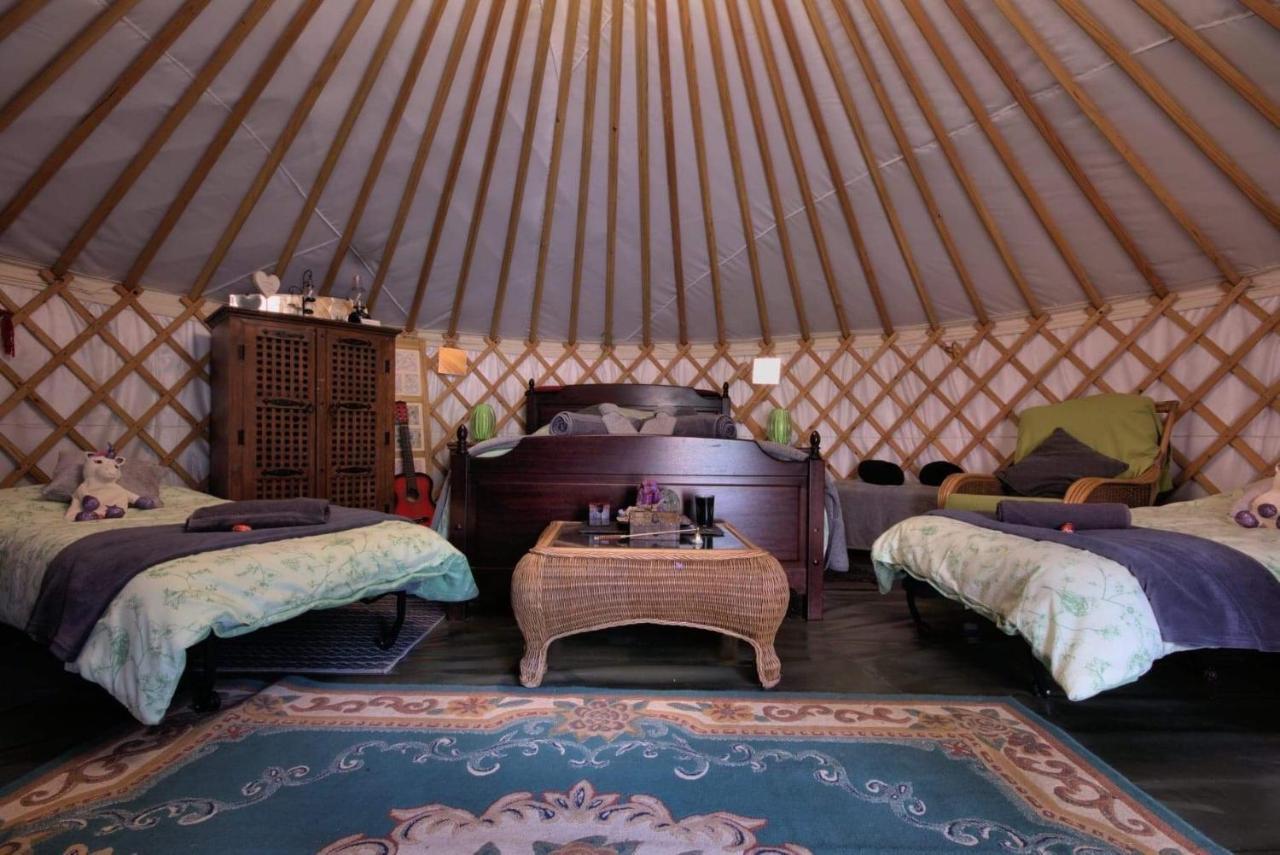 Magical Forest Yurt Sturry Esterno foto