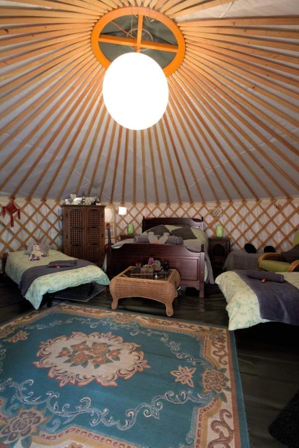 Magical Forest Yurt Sturry Esterno foto