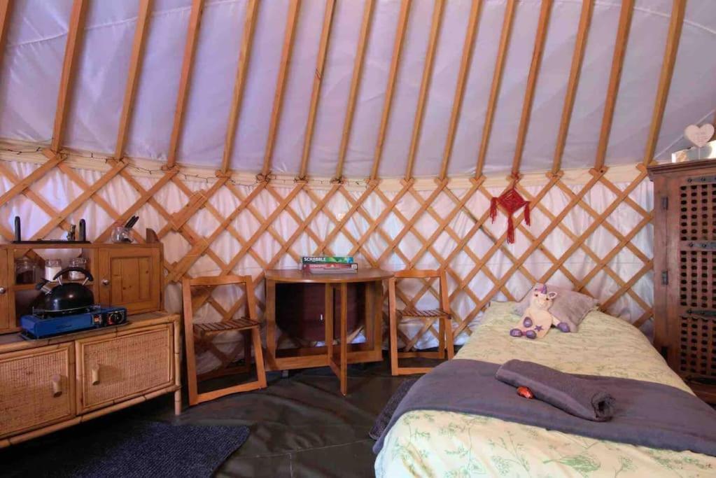 Magical Forest Yurt Sturry Esterno foto