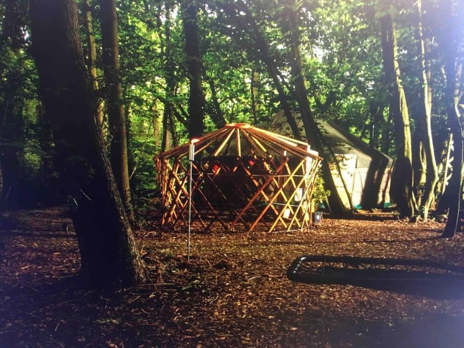 Magical Forest Yurt Sturry Esterno foto