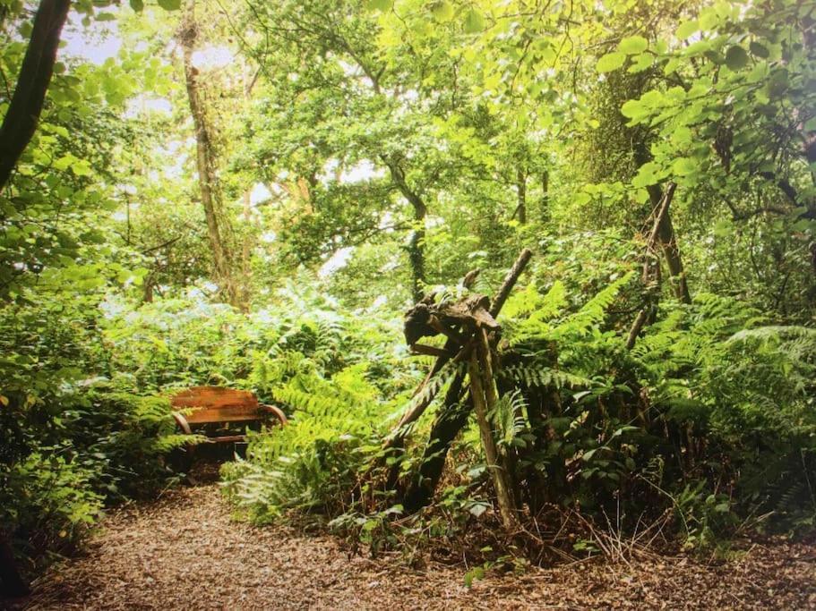 Magical Forest Yurt Sturry Esterno foto