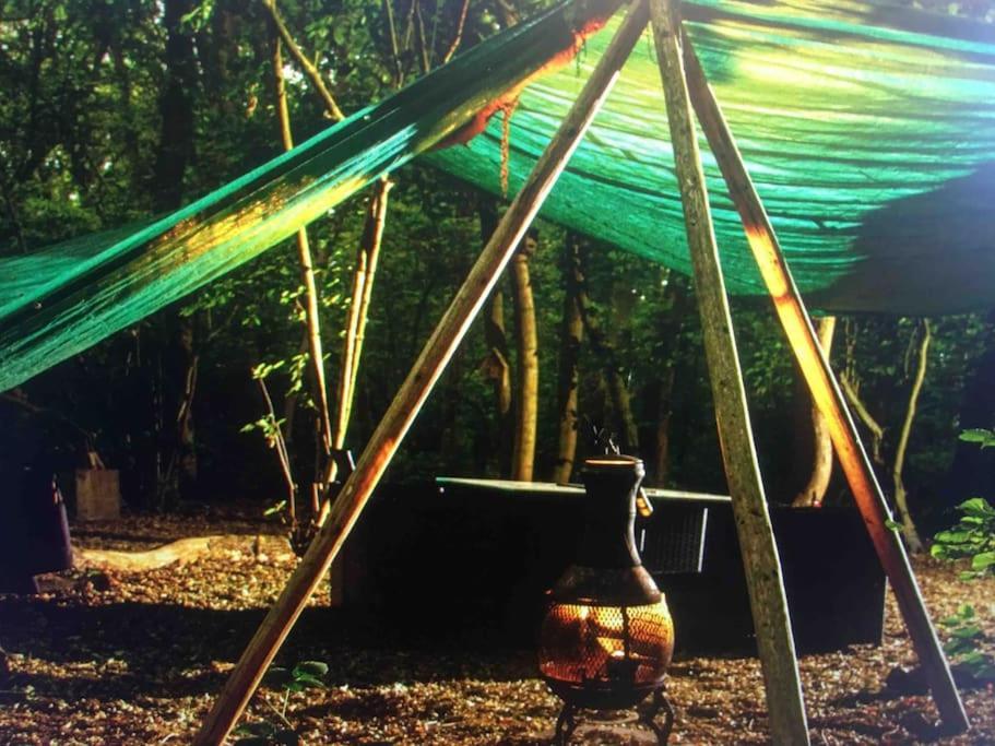 Magical Forest Yurt Sturry Esterno foto