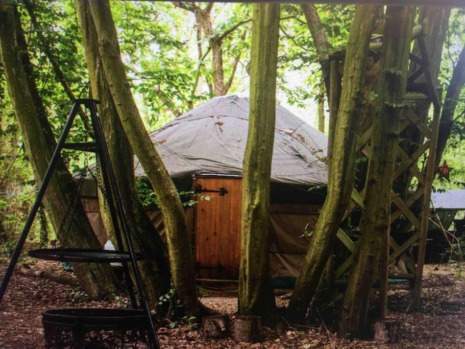 Magical Forest Yurt Sturry Esterno foto