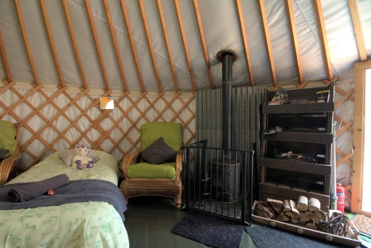Magical Forest Yurt Sturry Esterno foto