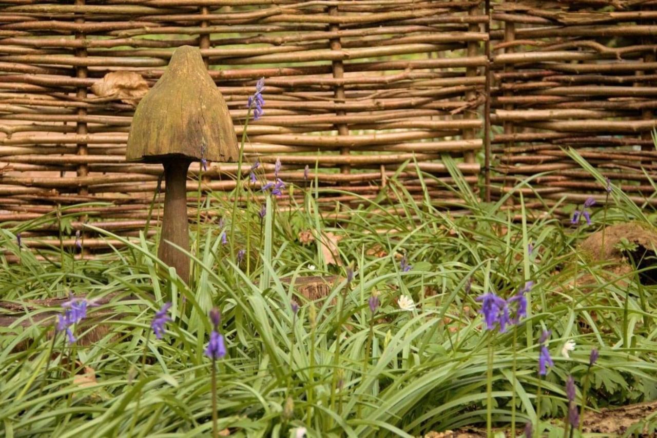 Magical Forest Yurt Sturry Esterno foto