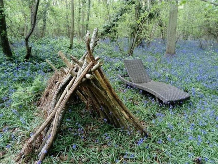 Magical Forest Yurt Sturry Esterno foto