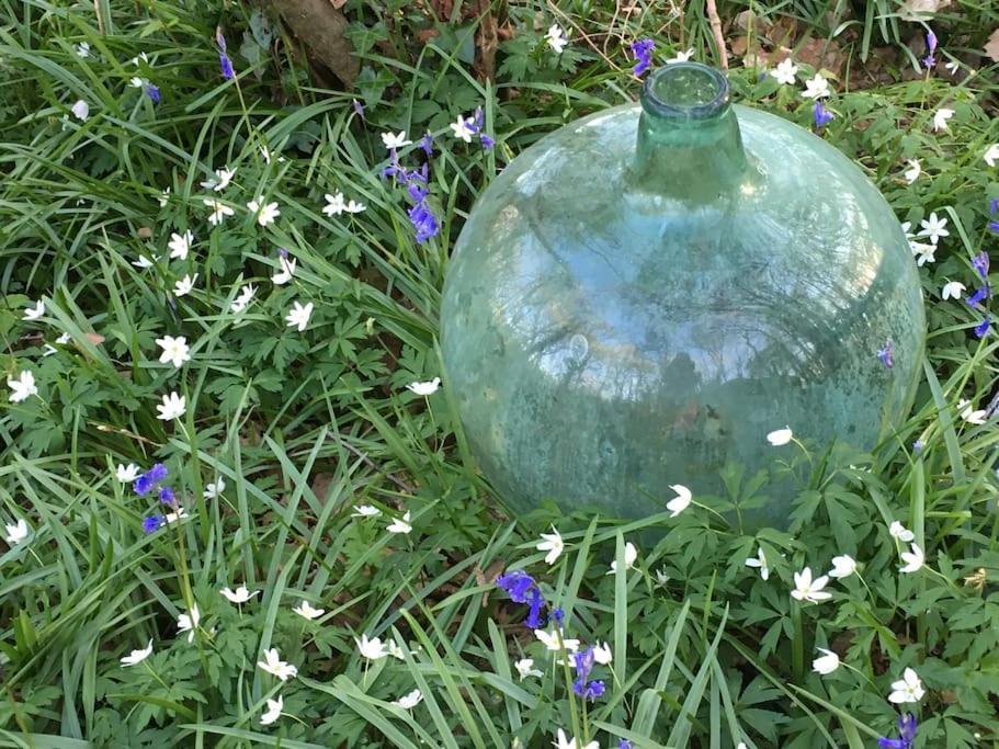 Magical Forest Yurt Sturry Esterno foto