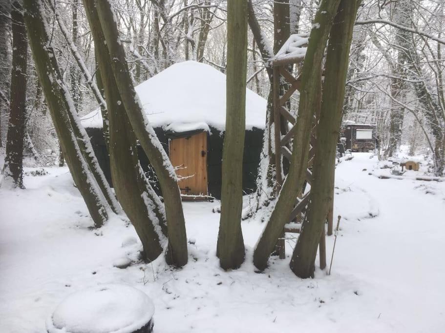 Magical Forest Yurt Sturry Esterno foto