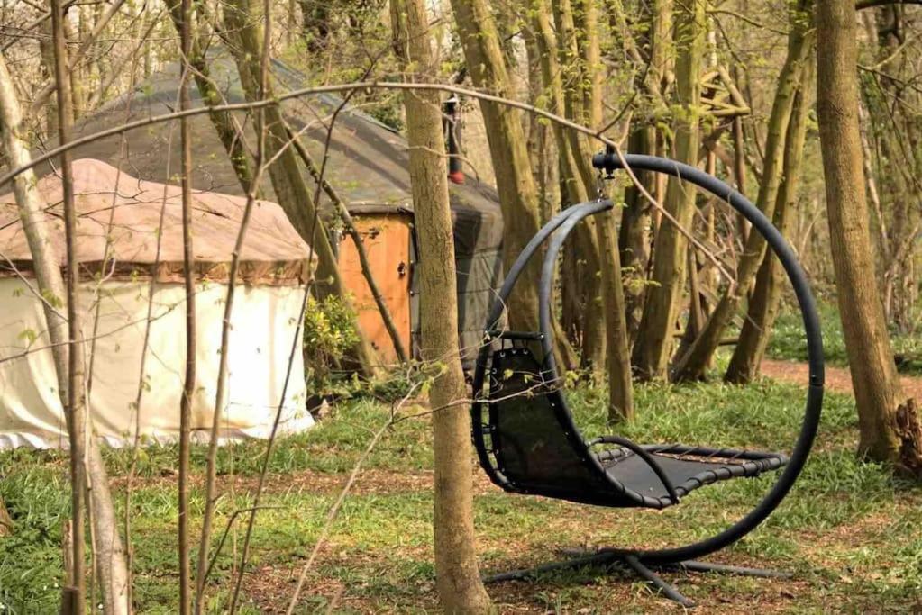 Magical Forest Yurt Sturry Esterno foto