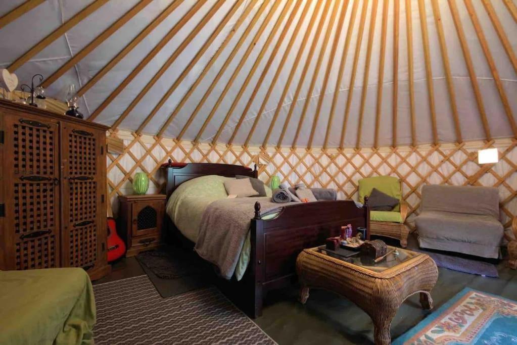 Magical Forest Yurt Sturry Esterno foto