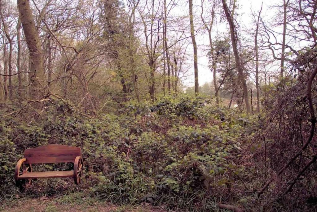 Magical Forest Yurt Sturry Esterno foto