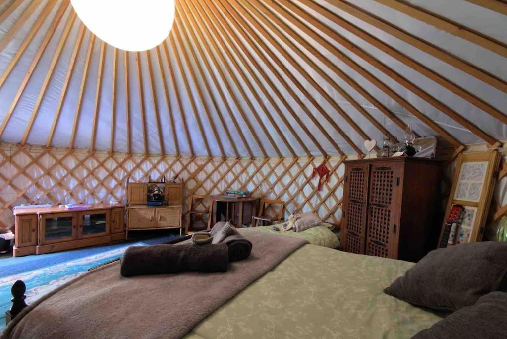 Magical Forest Yurt Sturry Esterno foto
