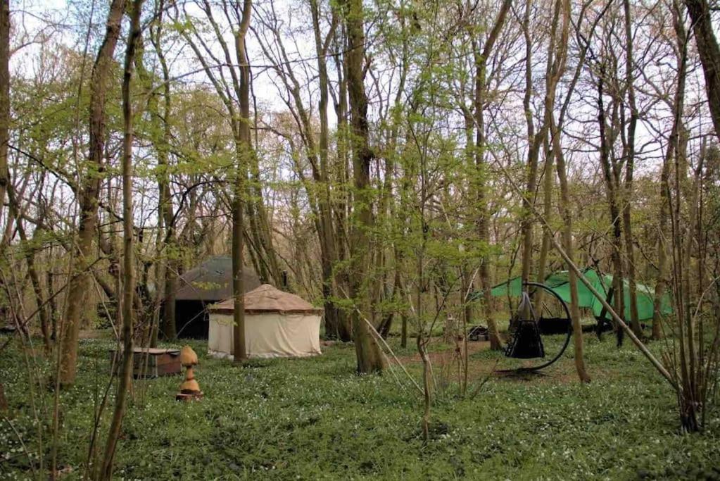 Magical Forest Yurt Sturry Esterno foto