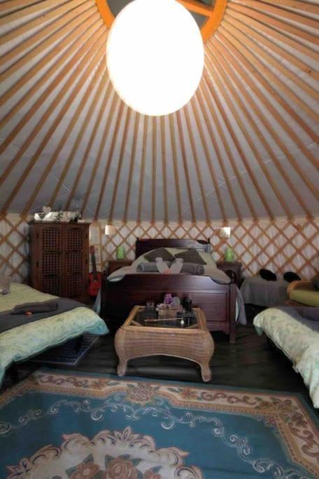 Magical Forest Yurt Sturry Esterno foto