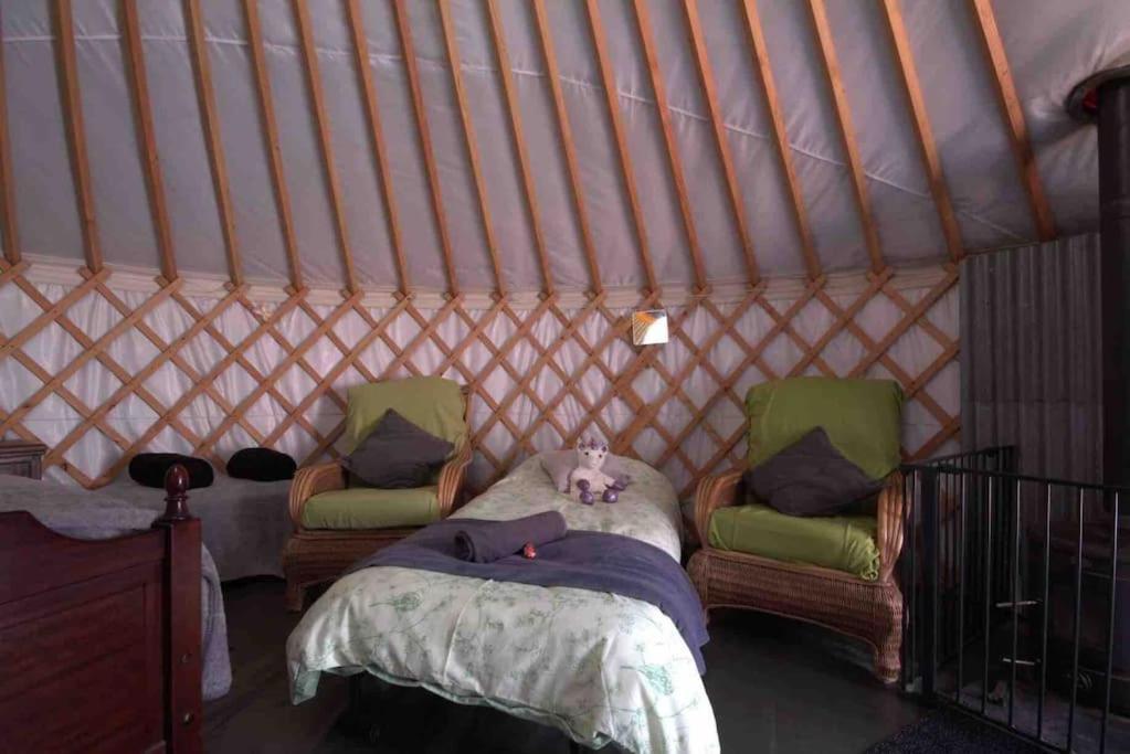 Magical Forest Yurt Sturry Esterno foto
