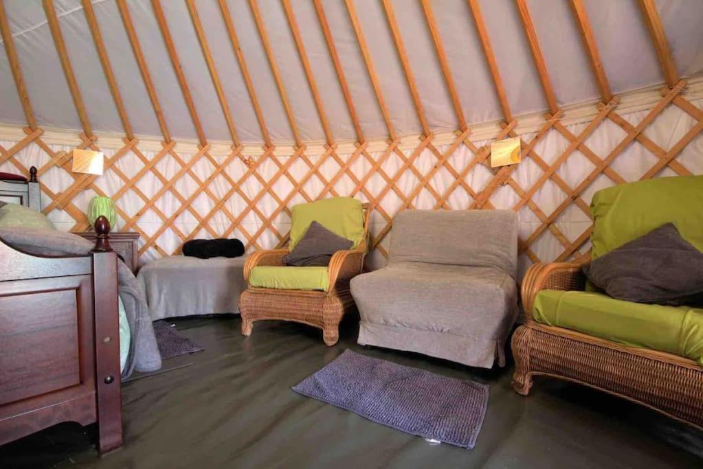 Magical Forest Yurt Sturry Esterno foto