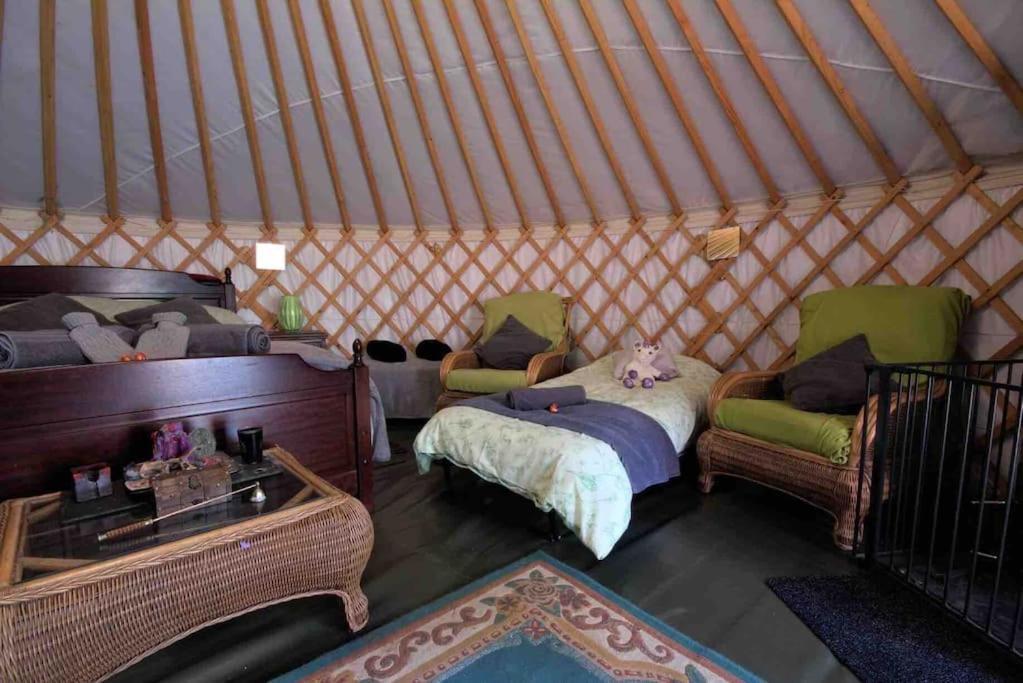 Magical Forest Yurt Sturry Esterno foto