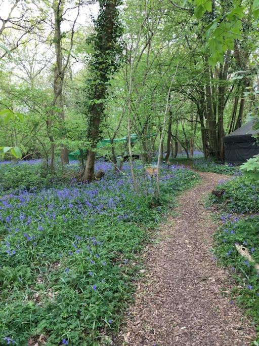 Magical Forest Yurt Sturry Esterno foto