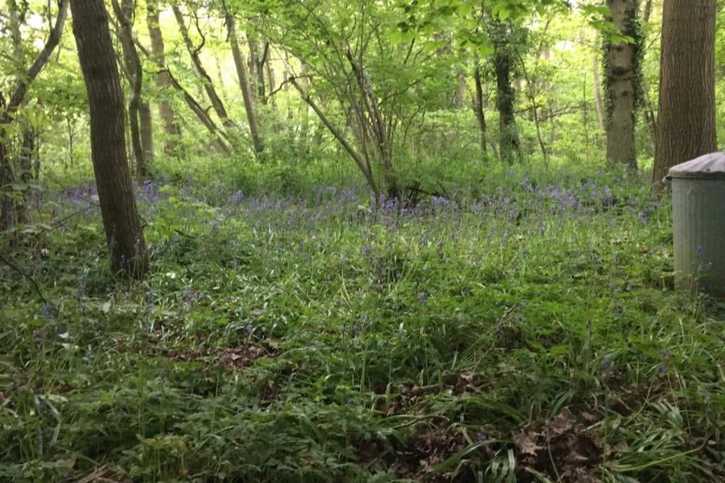 Magical Forest Yurt Sturry Esterno foto