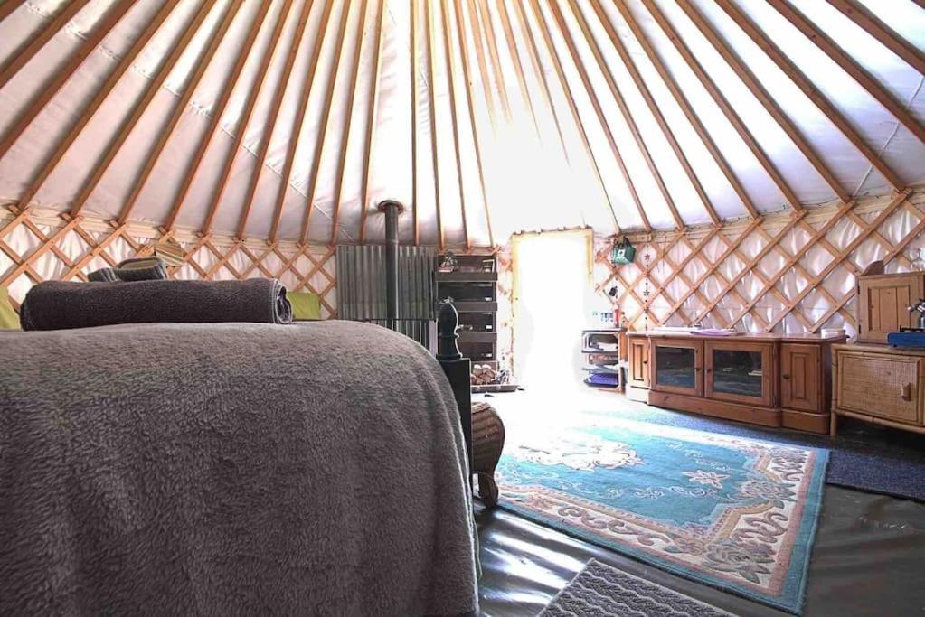 Magical Forest Yurt Sturry Esterno foto