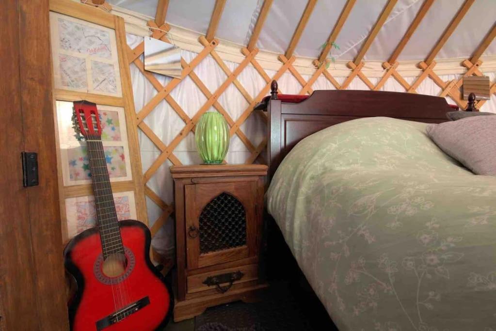Magical Forest Yurt Sturry Esterno foto